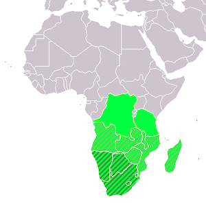 Jižní Afrika